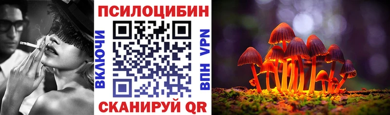 Псилоцибиновые грибы Magic Shrooms  Курчалой 